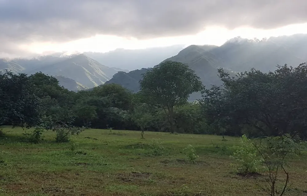 Cityscape & Retreat Hotel Attraction Pictures